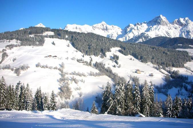 Ferienwohnung Klappacher Maria Alm am Steinernen Meer Buitenkant foto