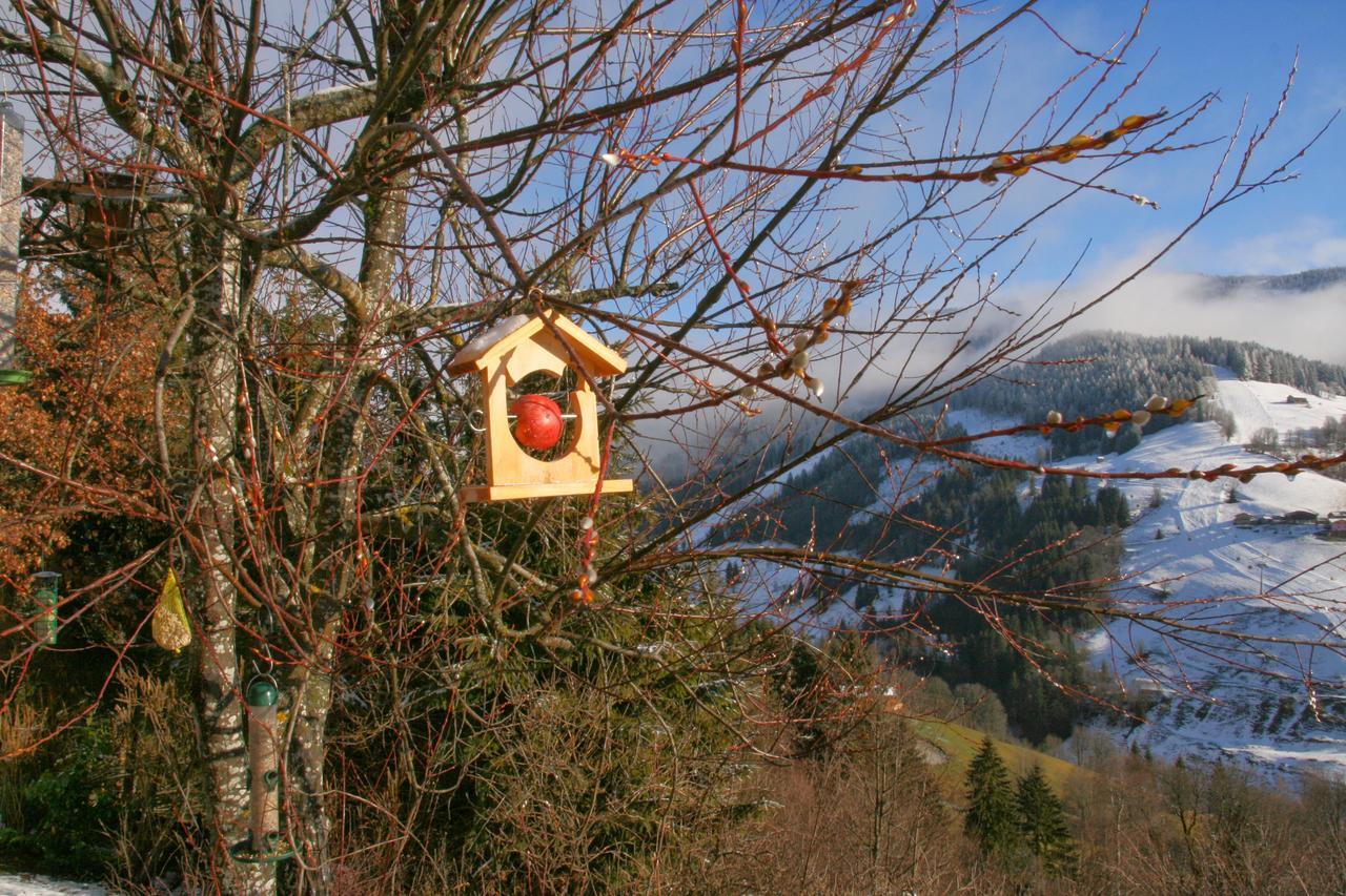 Ferienwohnung Klappacher Maria Alm am Steinernen Meer Buitenkant foto