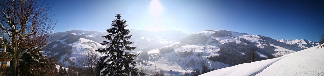 Ferienwohnung Klappacher Maria Alm am Steinernen Meer Buitenkant foto
