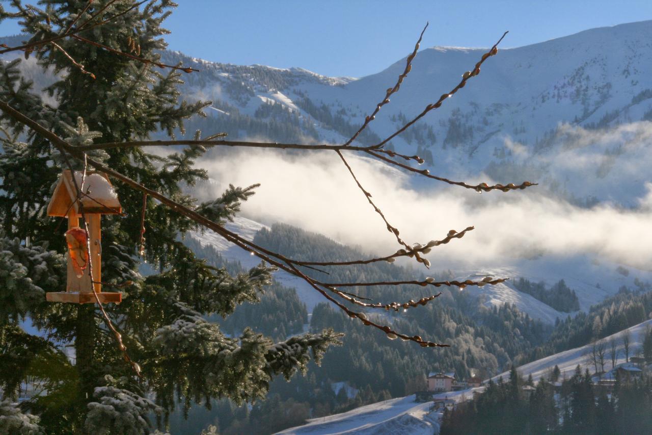 Ferienwohnung Klappacher Maria Alm am Steinernen Meer Buitenkant foto